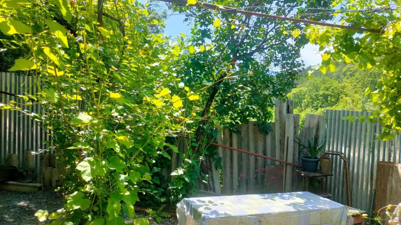Guest House Gogias Cixe Borjomi Exterior foto
