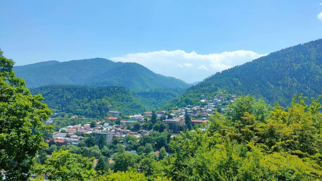 Guest House Gogias Cixe Borjomi Exterior foto