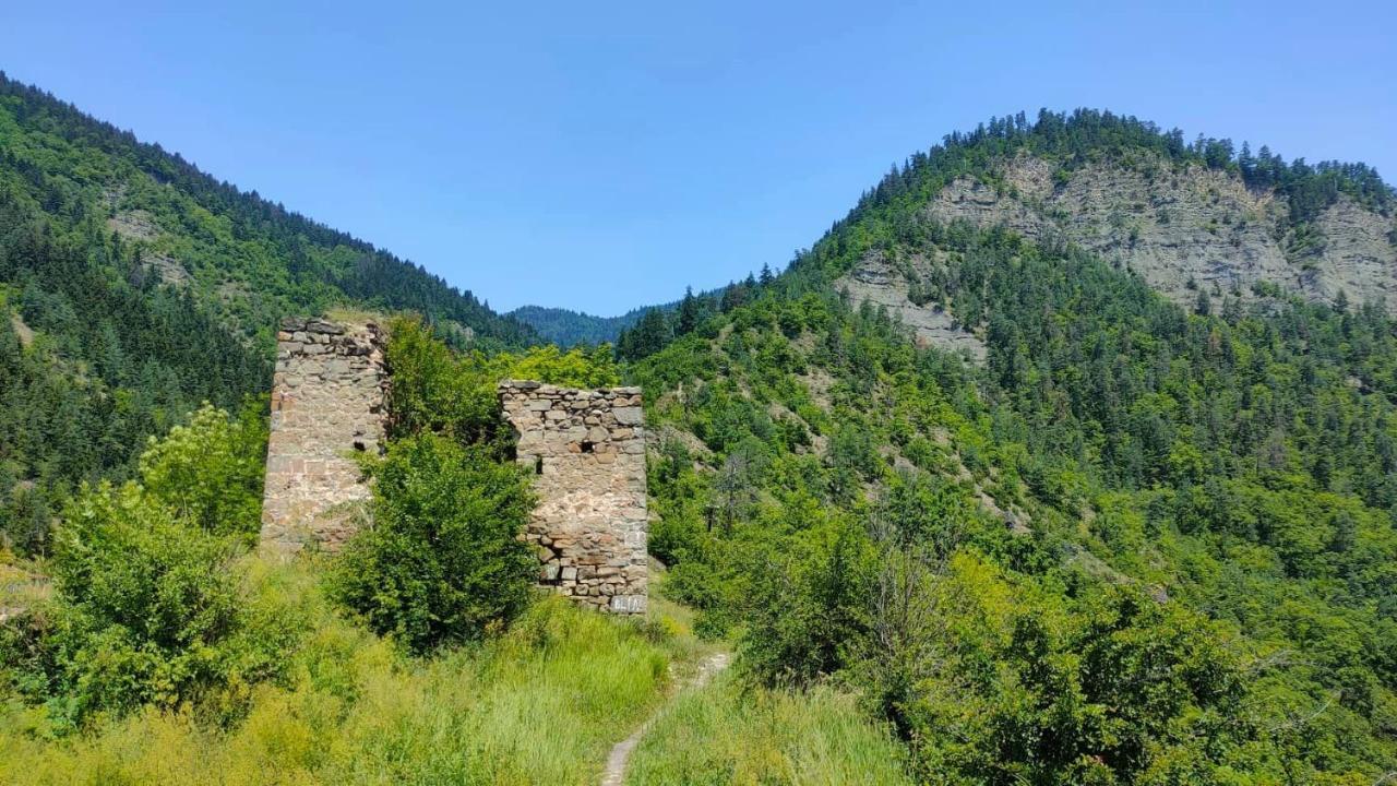 Guest House Gogias Cixe Borjomi Exterior foto