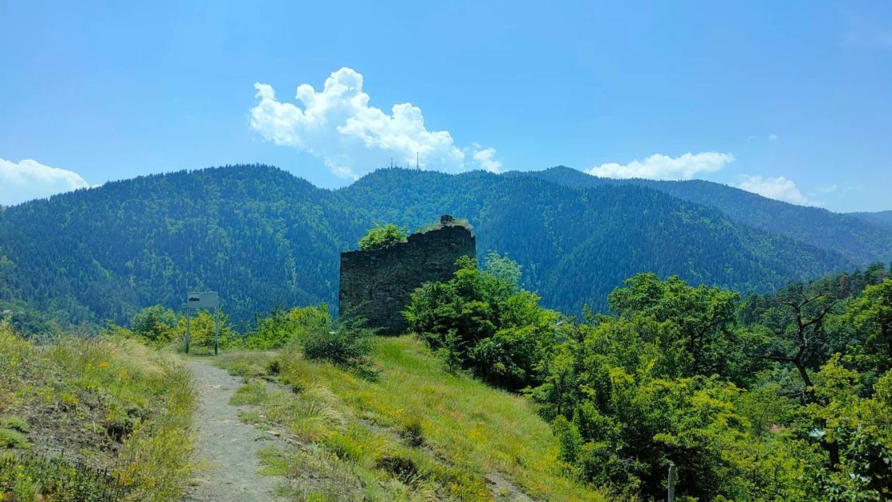 Guest House Gogias Cixe Borjomi Exterior foto